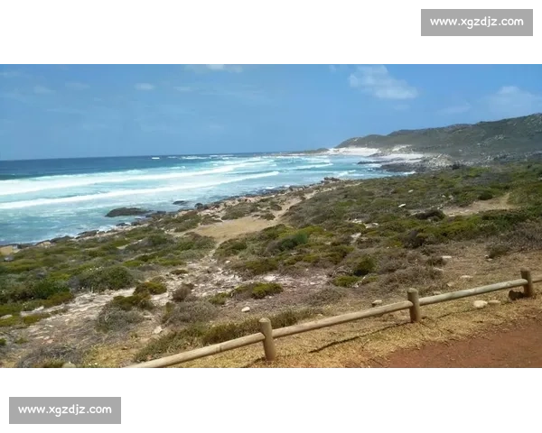 意甲联赛防守风格解析及其对比赛结果的深远影响 - 副本 - 副本 (2)